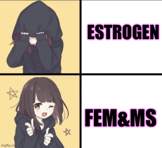 Menhera-chan | ESTROGEN; FEM&MS | image tagged in menhera-chan | made w/ Imgflip meme maker