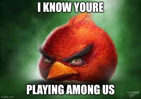 Realistic Red Angry Birds | I KNOW YOURE; PLAYING AMONG US | image tagged in realistic red angry birds | made w/ Imgflip meme maker