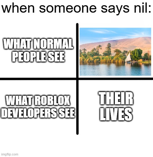 based on a true story | when someone says nil:; WHAT NORMAL PEOPLE SEE; WHAT ROBLOX DEVELOPERS SEE; THEIR LIVES | image tagged in memes,blank starter pack | made w/ Imgflip meme maker
