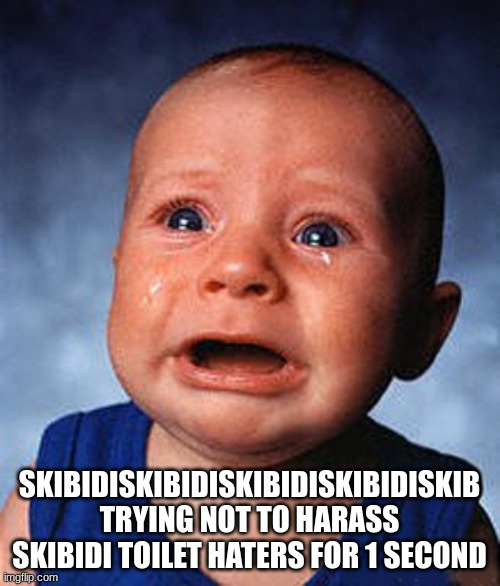 Crying baby  | SKIBIDISKIBIDISKIBIDISKIBIDISKIB TRYING NOT TO HARASS SKIBIDI TOILET HATERS FOR 1 SECOND | image tagged in crying baby | made w/ Imgflip meme maker