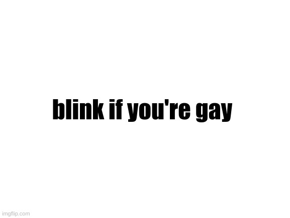 Blank White Template | blink if you're gay | image tagged in blank white template | made w/ Imgflip meme maker