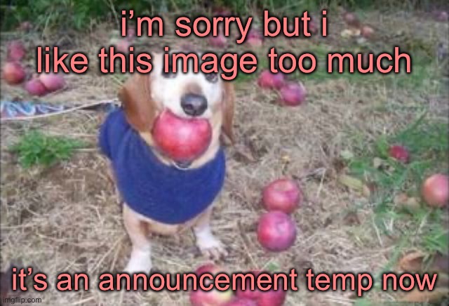 not replacing chucklenuts but still gonna be used | i’m sorry but i like this image too much; it’s an announcement temp now | image tagged in this dock | made w/ Imgflip meme maker