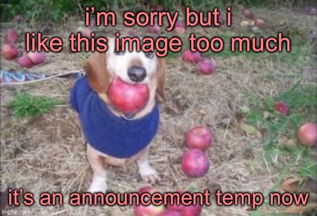 not replacing chucklenuts but still gonna be used | i’m sorry but i like this image too much; it’s an announcement temp now | image tagged in this dock | made w/ Imgflip meme maker