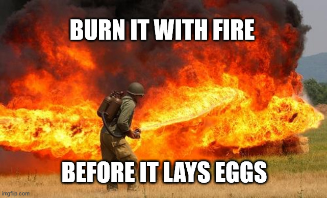 Burn it with fire | BURN IT WITH FIRE; BEFORE IT LAYS EGGS | image tagged in nope flamethrower | made w/ Imgflip meme maker