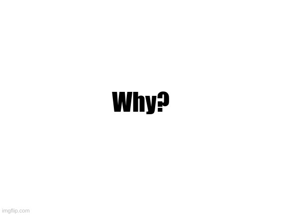 Blank White Template | Why? | image tagged in blank white template | made w/ Imgflip meme maker