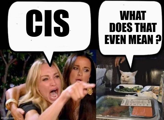 CIS WHAT DOES THAT EVEN MEAN ? | made w/ Imgflip meme maker