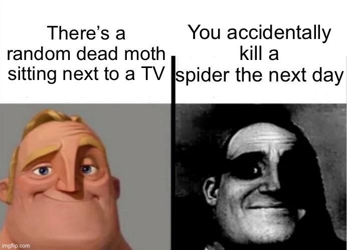 Wait…ANGEL NO! | You accidentally kill a spider the next day; There’s a random dead moth sitting next to a TV | image tagged in teacher's copy,wawa | made w/ Imgflip meme maker