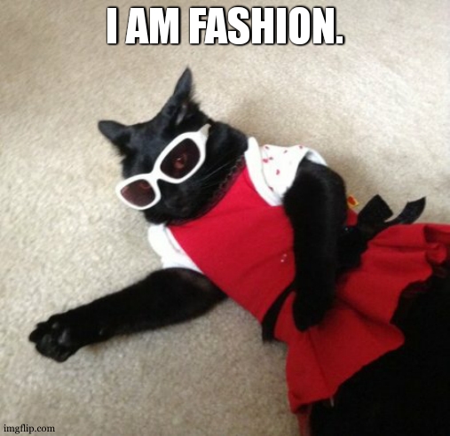 Catastrophic Fashion | I AM FASHION. | image tagged in catastrophic fashion | made w/ Imgflip meme maker