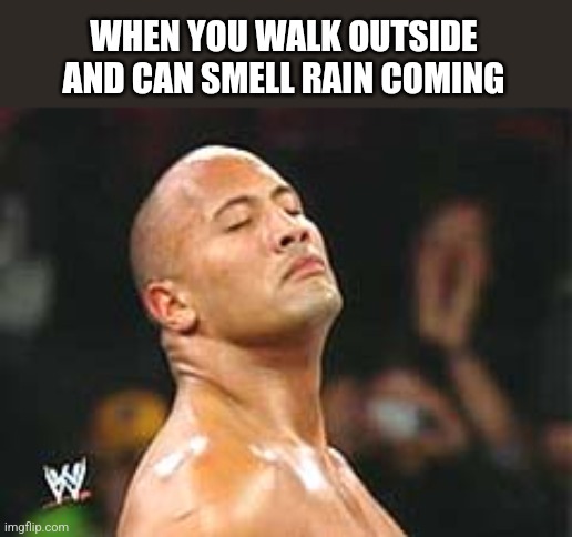 Smell Rain Coming | WHEN YOU WALK OUTSIDE AND CAN SMELL RAIN COMING | image tagged in the rock smelling,rain,funny meme,meme | made w/ Imgflip meme maker