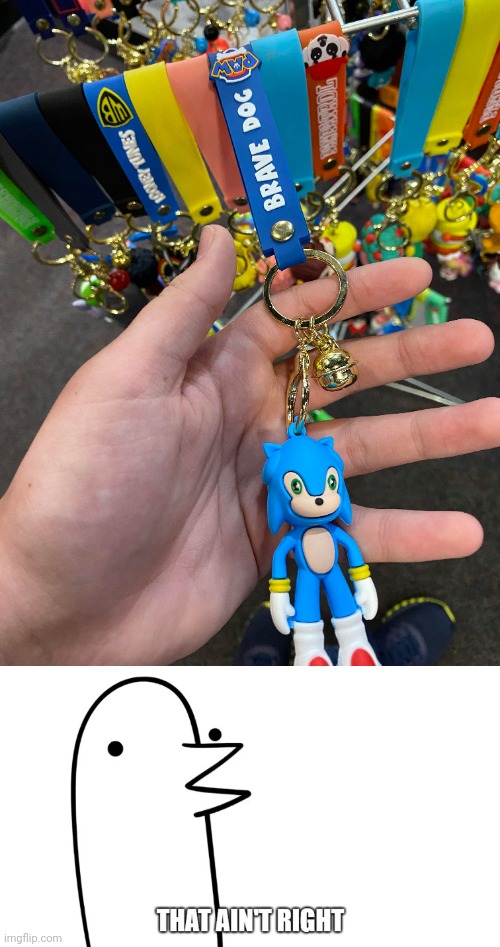 Brave Dog | image tagged in asdf that ain't right,sonic,keychain,you had one job,memes,keychains | made w/ Imgflip meme maker