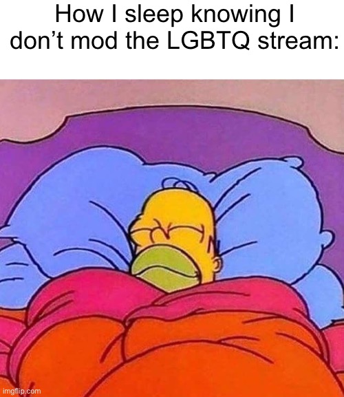Homer Simpson sleeping peacefully | How I sleep knowing I don’t mod the LGBTQ stream: | image tagged in homer simpson sleeping peacefully | made w/ Imgflip meme maker