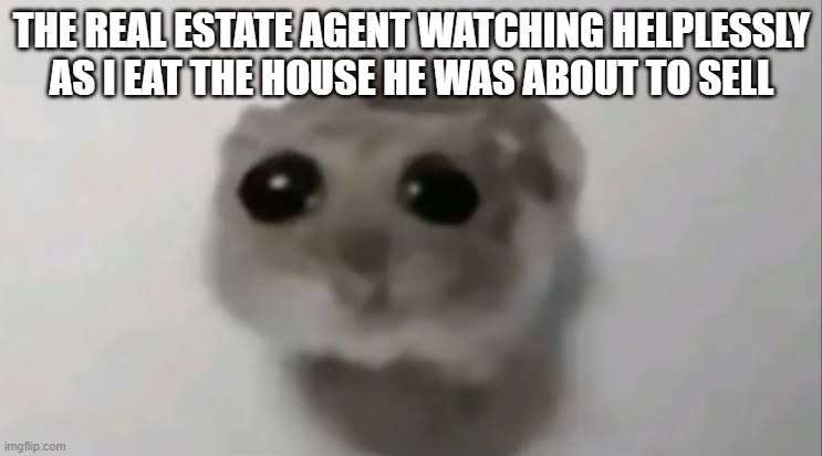 womp womp | THE REAL ESTATE AGENT WATCHING HELPLESSLY AS I EAT THE HOUSE HE WAS ABOUT TO SELL | image tagged in sad hamster | made w/ Imgflip meme maker