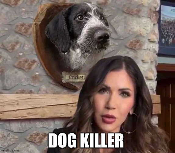 dog killer | DOG KILLER | image tagged in killer,noem | made w/ Imgflip meme maker
