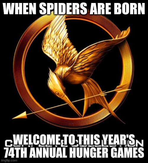 POV | WHEN SPIDERS ARE BORN; WELCOME TO THIS YEAR'S 74TH ANNUAL HUNGER GAMES | image tagged in hunger games,spiders | made w/ Imgflip meme maker