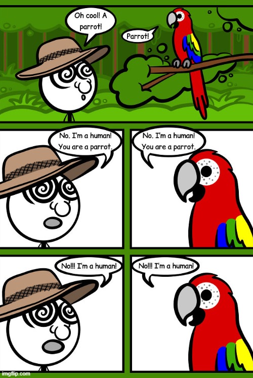 Parrot | image tagged in comics | made w/ Imgflip meme maker