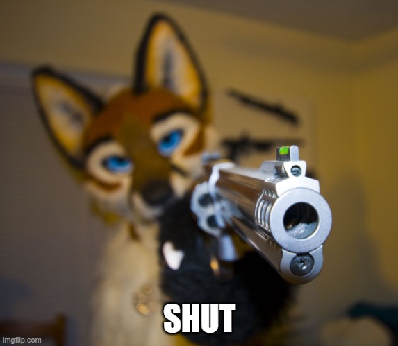 Furry with gun | SHUT | image tagged in furry with gun | made w/ Imgflip meme maker