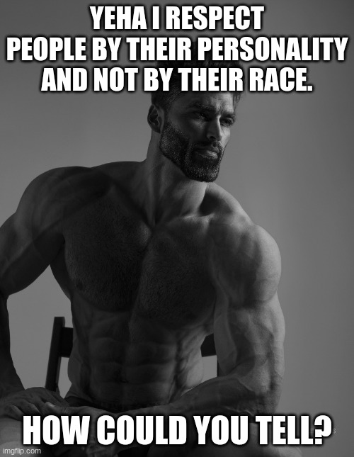 Giga Chad | YEHA I RESPECT PEOPLE BY THEIR PERSONALITY AND NOT BY THEIR RACE. HOW COULD YOU TELL? | image tagged in giga chad | made w/ Imgflip meme maker