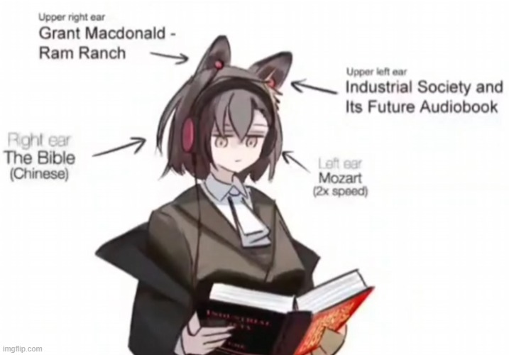 the actual reason why i wanna be a catboy | made w/ Imgflip meme maker