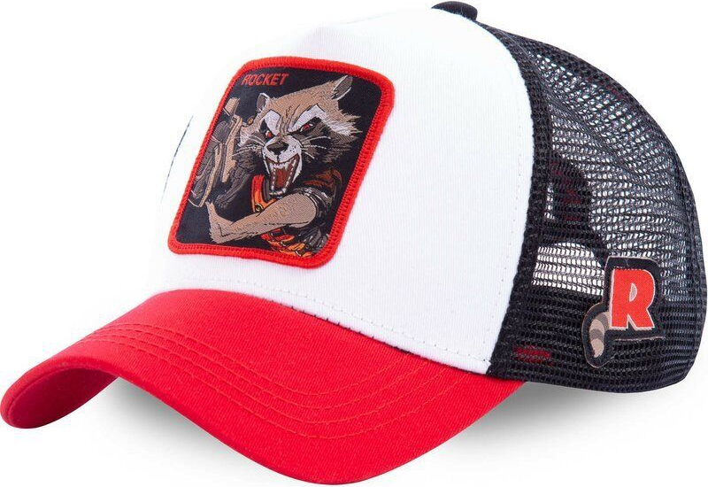 Rocket Raccoon Hat Blank Meme Template