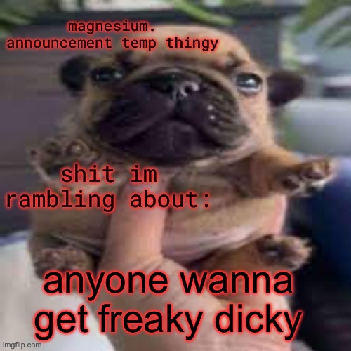 im fun | anyone wanna get freaky dicky | image tagged in pug temp | made w/ Imgflip meme maker