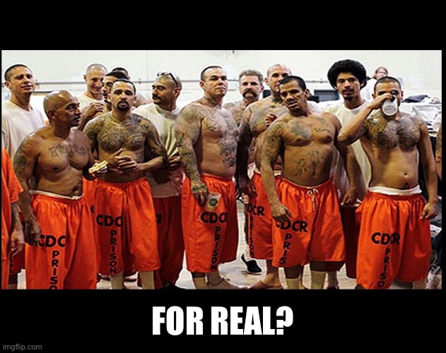 Illegal Aliens for Real | FOR REAL? | image tagged in illegal aliens for real | made w/ Imgflip meme maker