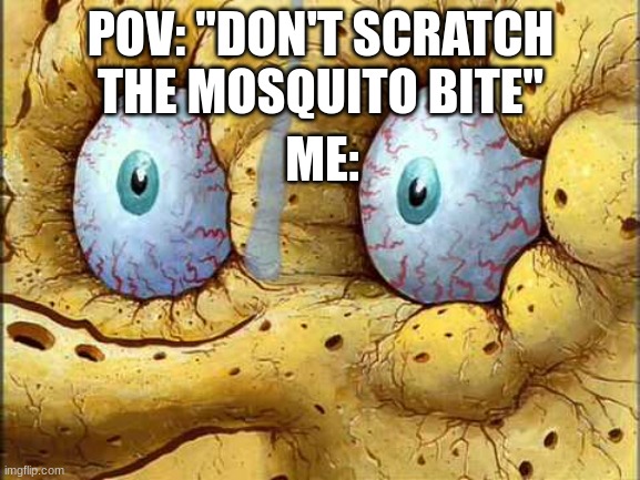 Mosquito bites | POV: "DON'T SCRATCH THE MOSQUITO BITE"; ME: | image tagged in spongebob i don't need it,funny,memes,gif | made w/ Imgflip meme maker