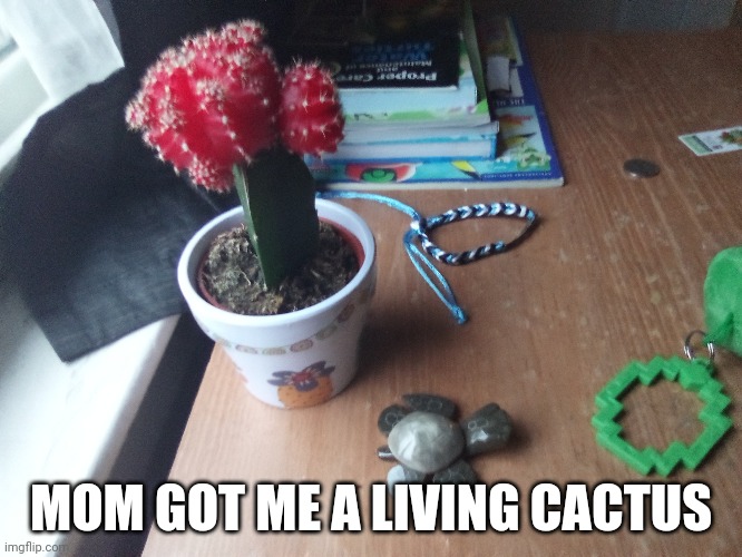 MOM GOT ME A LIVING CACTUS | made w/ Imgflip meme maker