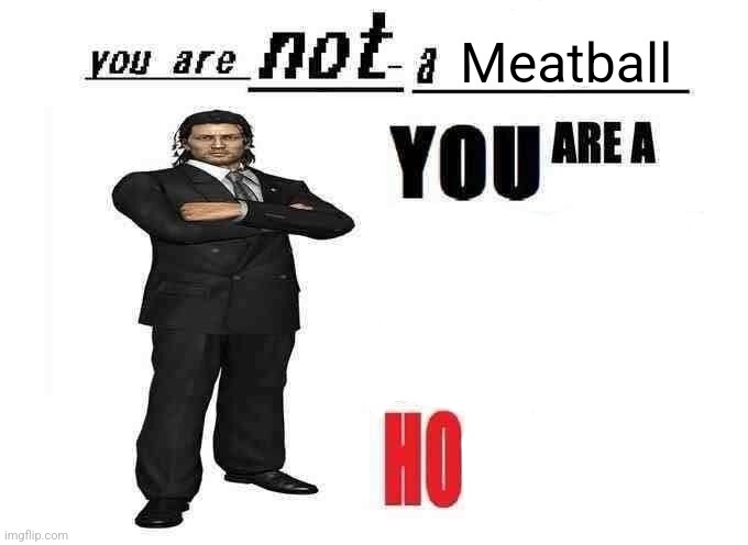 you are not a X | Meatball | image tagged in you are not a x | made w/ Imgflip meme maker