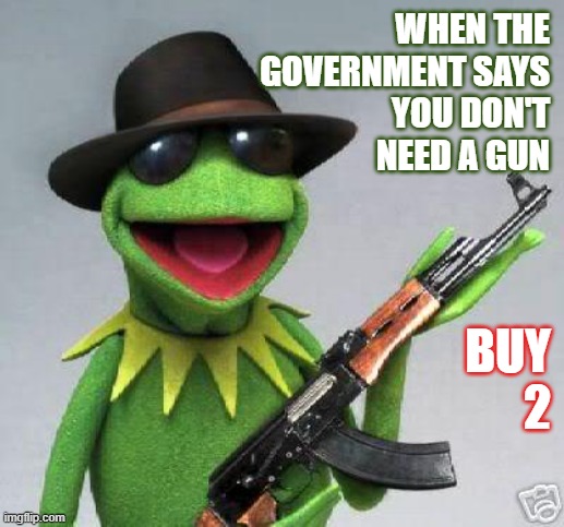 Kermit with a Gun | WHEN THE
GOVERNMENT SAYS
YOU DON'T
NEED A GUN; BUY
2 | image tagged in america,guns,2nd amendment,government,protection | made w/ Imgflip meme maker