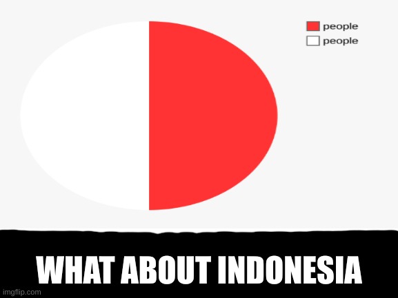 Blank White Template | WHAT ABOUT INDONESIA | image tagged in blank white template | made w/ Imgflip meme maker
