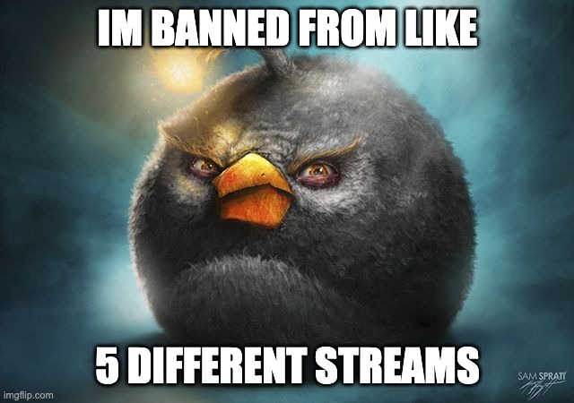 angry birds bomb | IM BANNED FROM LIKE; 5 DIFFERENT STREAMS | image tagged in angry birds bomb | made w/ Imgflip meme maker