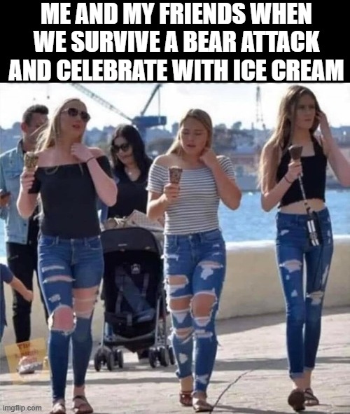 Bear Attack | ME AND MY FRIENDS WHEN WE SURVIVE A BEAR ATTACK AND CELEBRATE WITH ICE CREAM | image tagged in bears,memes,funny,ice cream | made w/ Imgflip meme maker