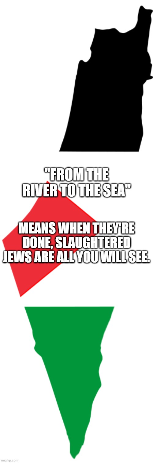 Map of Palestine | "FROM THE RIVER TO THE SEA"; MEANS WHEN THEY'RE DONE, SLAUGHTERED JEWS ARE ALL YOU WILL SEE. | image tagged in map of palestine | made w/ Imgflip meme maker