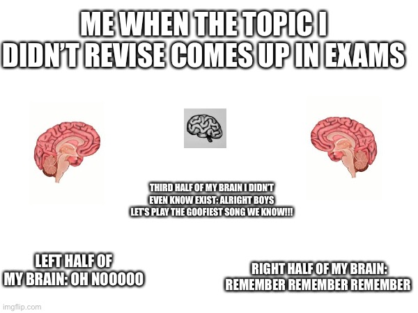 Exams | ME WHEN THE TOPIC I DIDN’T REVISE COMES UP IN EXAMS; THIRD HALF OF MY BRAIN I DIDN’T EVEN KNOW EXIST: ALRIGHT BOYS LET’S PLAY THE GOOFIEST SONG WE KNOW!!! LEFT HALF OF MY BRAIN: OH NOOOOO; RIGHT HALF OF MY BRAIN: REMEMBER REMEMBER REMEMBER | image tagged in relatable memes | made w/ Imgflip meme maker