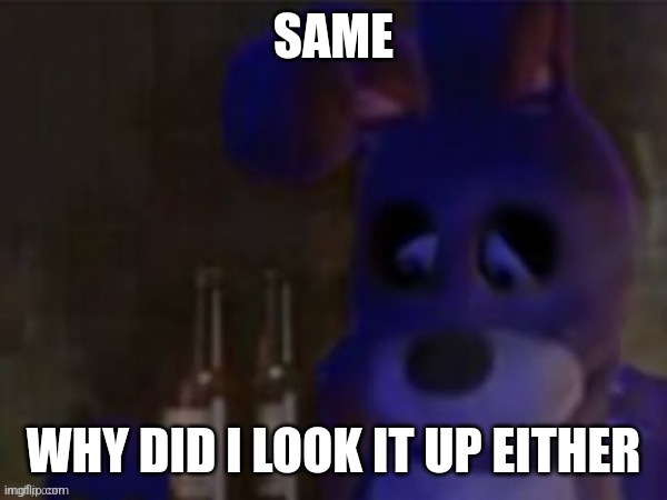 depressed bonnie | SAME WHY DID I LOOK IT UP EITHER | image tagged in depressed bonnie | made w/ Imgflip meme maker