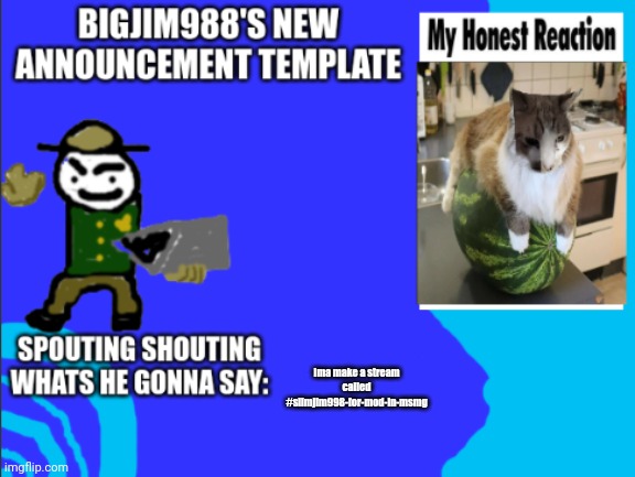 Ima make a stream called #slimjim998-for-mod-in-msmg | image tagged in bigjim998s new template | made w/ Imgflip meme maker