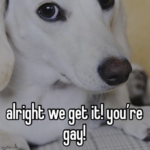 alright we get it you're gay | image tagged in alright we get it you're gay | made w/ Imgflip meme maker
