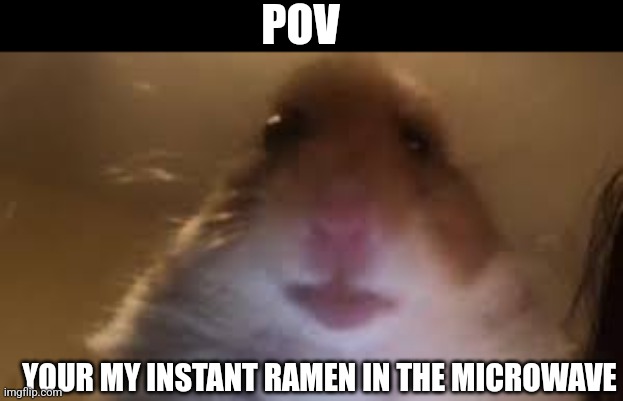 facetime hamster | POV; YOUR MY INSTANT RAMEN IN THE MICROWAVE | image tagged in facetime hamster | made w/ Imgflip meme maker