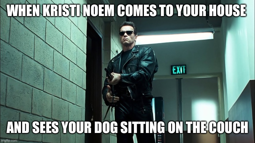 WHEN KRISTI NOEM COMES TO YOUR HOUSE; AND SEES YOUR DOG SITTING ON THE COUCH | image tagged in dog,terminator 2 | made w/ Imgflip meme maker