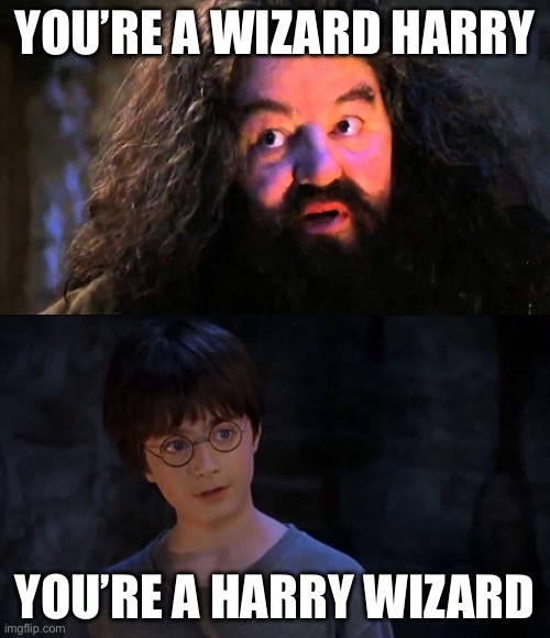 You are wizzard harry | YOU’RE A WIZARD HARRY; YOU’RE A HARRY WIZARD | image tagged in you are wizzard harry | made w/ Imgflip meme maker