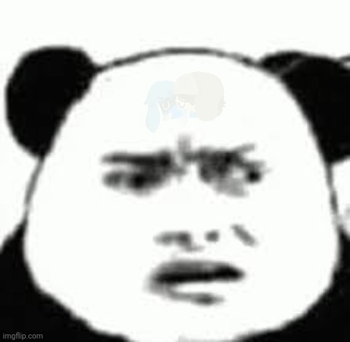 Confused chinese bear | image tagged in confused chinese bear | made w/ Imgflip meme maker