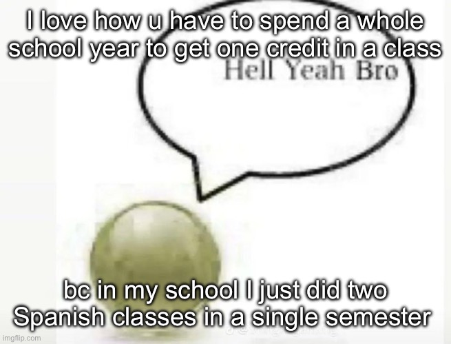 like they waste so much time omg … | I love how u have to spend a whole school year to get one credit in a class; bc in my school I just did two Spanish classes in a single semester | image tagged in hell yeah bro ball | made w/ Imgflip meme maker