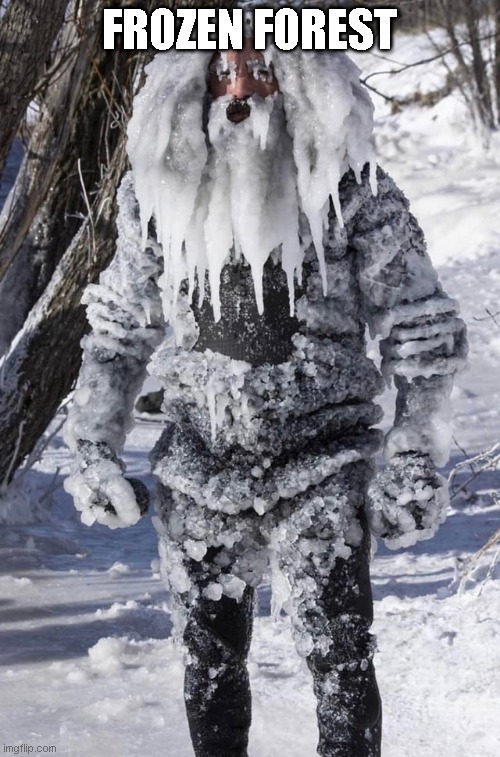 ice man | FROZEN FOREST | image tagged in ice man | made w/ Imgflip meme maker