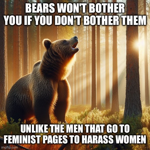 Bear vs man | BEARS WON'T BOTHER YOU IF YOU DON'T BOTHER THEM; UNLIKE THE MEN THAT GO TO FEMINIST PAGES TO HARASS WOMEN | image tagged in feminism | made w/ Imgflip meme maker