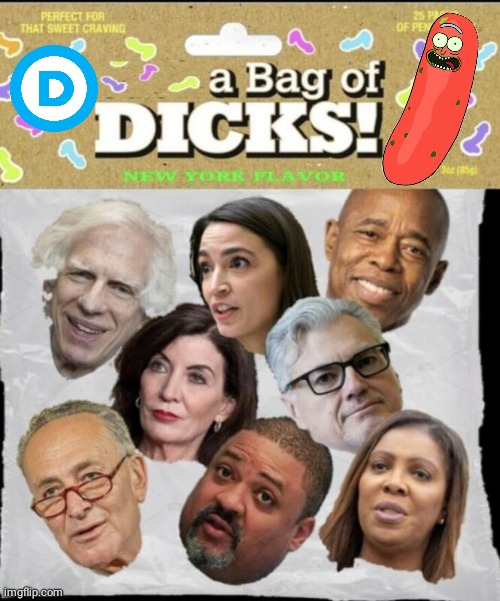 Democrat bag of Dicks | image tagged in pickle rick,democrats,dick | made w/ Imgflip meme maker