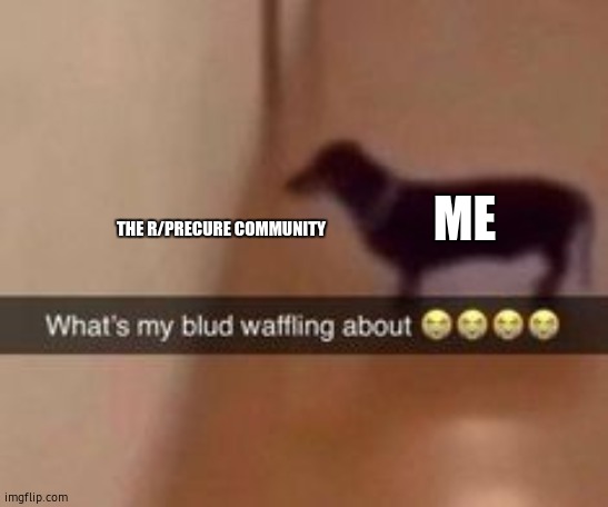 What's my blud waffling about | ME THE R/PRECURE COMMUNITY | image tagged in what's my blud waffling about | made w/ Imgflip meme maker