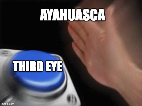 third eye | AYAHUASCA; THIRD EYE | image tagged in memes,blank nut button,third eye,spiritual | made w/ Imgflip meme maker