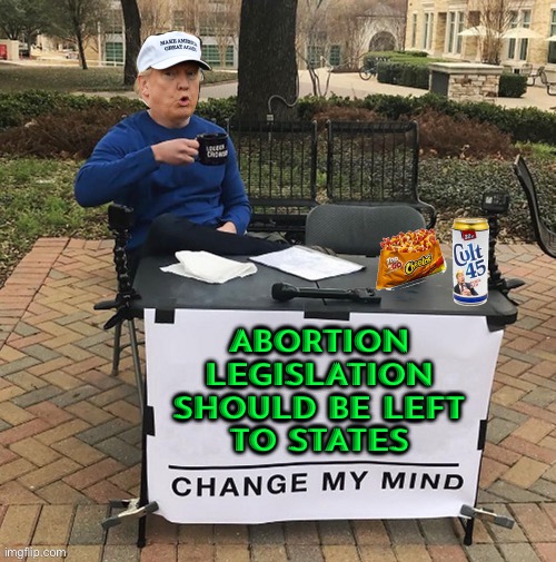 Trump Says Abortion Legislation Should Be Left To States | ABORTION
LEGISLATION
SHOULD BE LEFT
TO STATES | image tagged in trump chang my mind,breaking news,abortion,abortion is murder,trump,liberal vs conservative | made w/ Imgflip meme maker