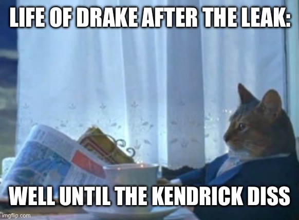 For all the dogs gettin buried | LIFE OF DRAKE AFTER THE LEAK:; WELL UNTIL THE KENDRICK DISS | image tagged in memes,i should buy a boat cat | made w/ Imgflip meme maker
