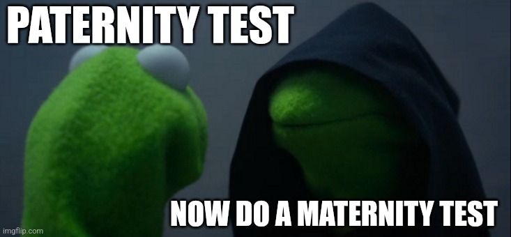 Evil Kermit | PATERNITY TEST; NOW DO A MATERNITY TEST | image tagged in memes,evil kermit | made w/ Imgflip meme maker